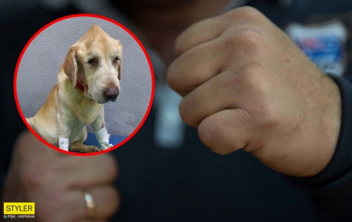 В Черкассах мужчина жестоко избил собаку: не хотела гулять