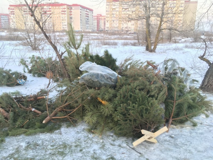В Запорожье торговцы устроили свалку из непроданных елок (фото)
