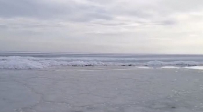 В сети появились кадры замерзшего моря в Кирилловке (видео)
