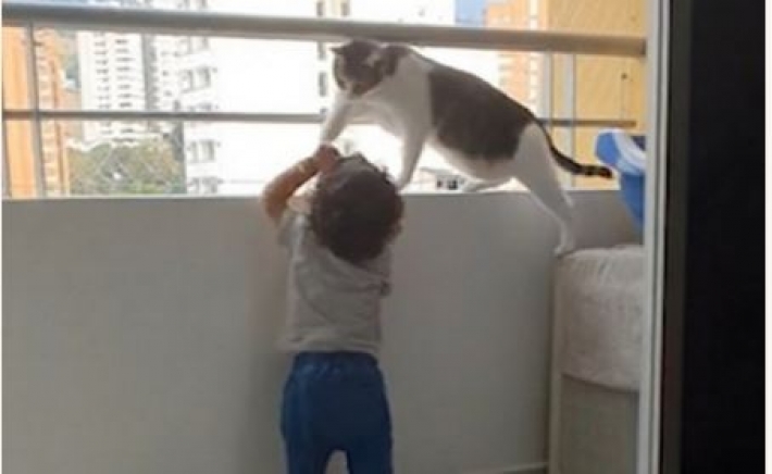 И няня не нужна: бдительная кошка не подпускала малыша к перилам балкона (видео)