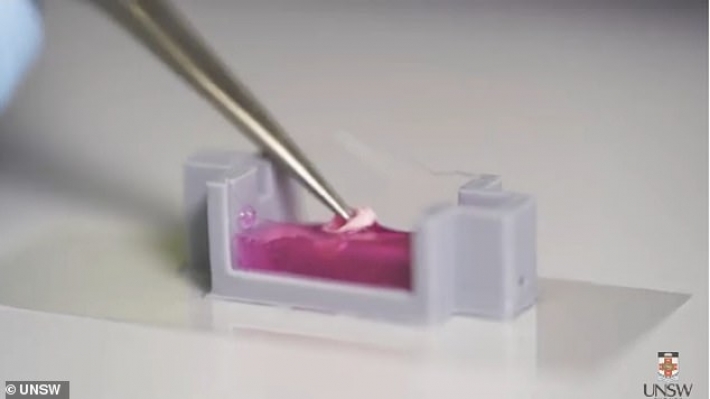 Ученые создали "биочернила" из живых клеток - позволяют печатать кости за пару минут: фото и видео