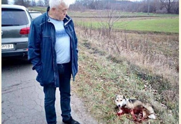 Суд виправдав ексвіцемера Хмельницького, який тягнув собаку за машиною (видео)