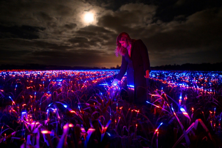 Художник за два года превратил поле лука-порея в уникальную инсталляцию с ультрафиолетом: видео