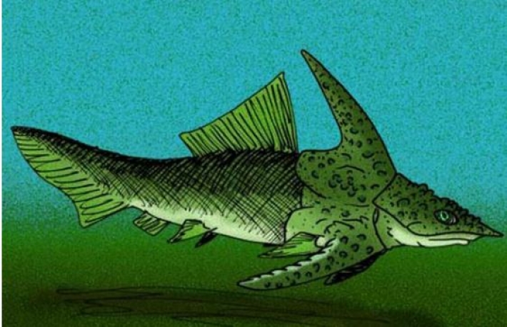 Ученые воссоздали облик "монстра", обитавшего 400 млн лет назад - был предком акулы: фото