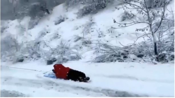 В Одессе устроили забавный заплыв по снегу: видео с серфингистом