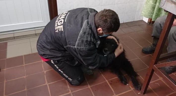 История черной собаки с больными лапами в Мелитополе закончилась хеппи-эндом (фото)