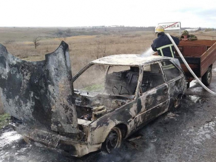 В Запорожской области во время движения загорелся автомобиль (фото)