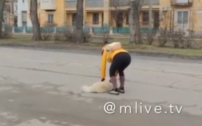 В Мелитополе собака устроила "акцию протеста" (видео)