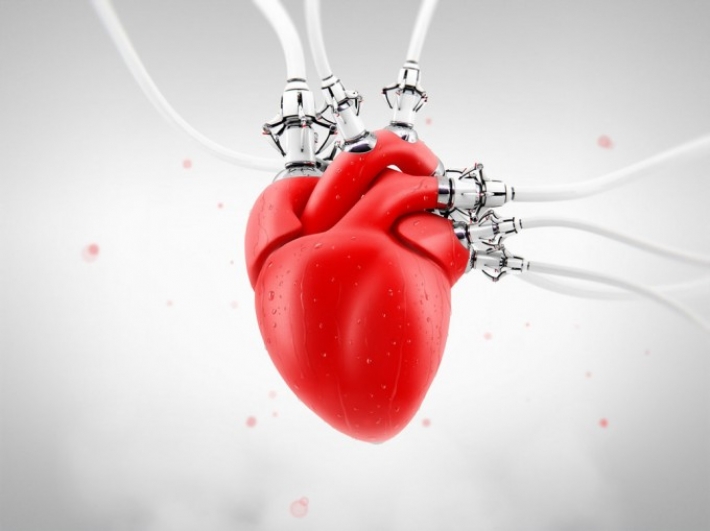 11 способов сохранить сердце здоровым
