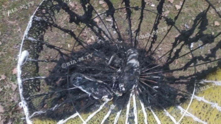 В Мелитополе вандалы сожгли елочную инсталляцию в сквере (фото)