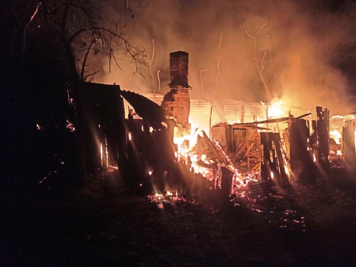 В Запорожской области тушили масштабный пожар во дворе частного дома (фото)