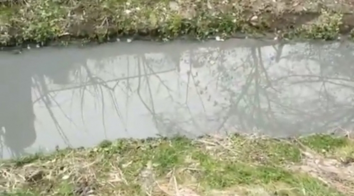 Стало известно, какую жижу слили в Кизиярский ручей в Мелитополе (фото, видео)