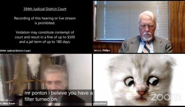 "Я не кот": адвокат оконфузился, выйдя на онлайн-встречу в Zoom с фильтром кота вместо лица (видео)
