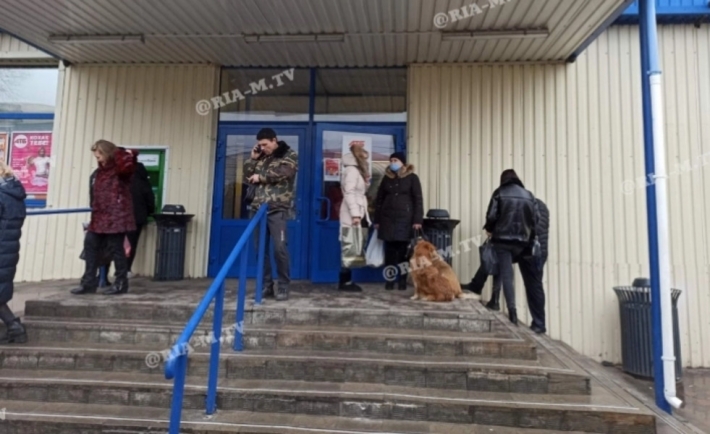 Курьезы. В Мелитополе возле АТБ собаки составили конкуренцию попрошайкам (фото)