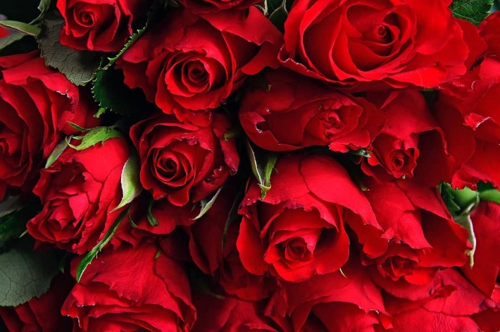 Не дай себя обмануть - в Мелитополе продают розы "с сюрпризом" (фото)