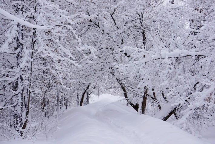 В Украине немного потеплеет, но будет снежить: детальный прогноз на 18 февраля