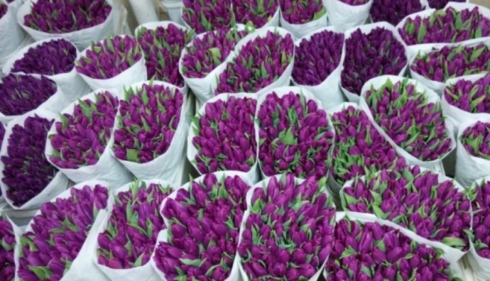 В Запорожской области мошенники развели предпринимателя на цветах