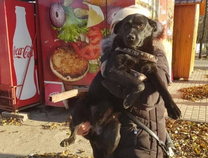В Мелитополе волонтеры вместе с работниками парка спасли собаку
