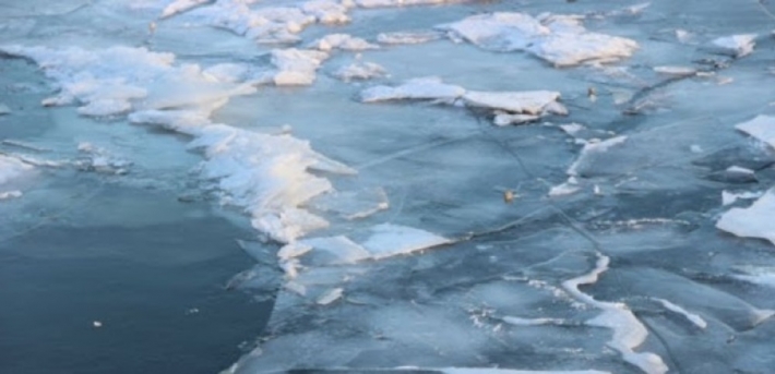 В Запорожье дети рисковали жизнью на тонком льду