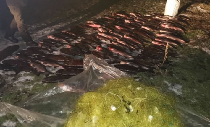 Под Запорожьем задержали браконьера с 350 кг рыбы (фото)