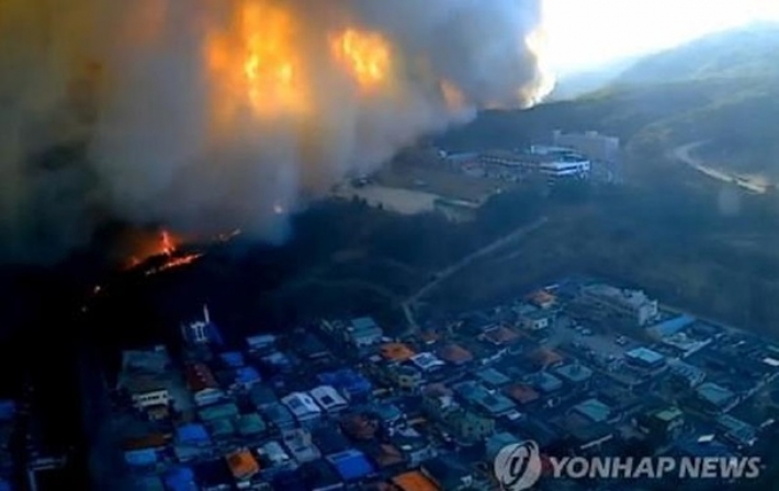 В Южной Корее вспыхнул масштабный лесной пожар