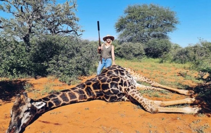 Охотница вырезала сердце жирафу и показала его в Сети (фото)