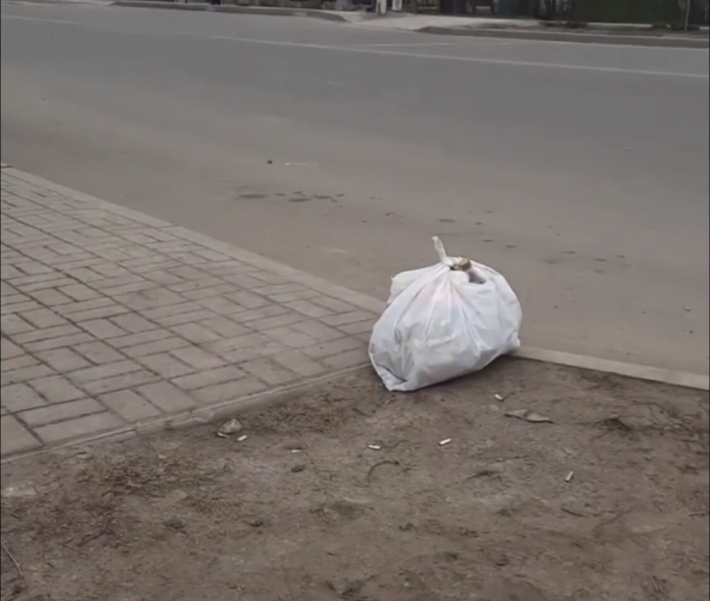 В Мелитополе оставляют мусор в неожиданных местах (видео)