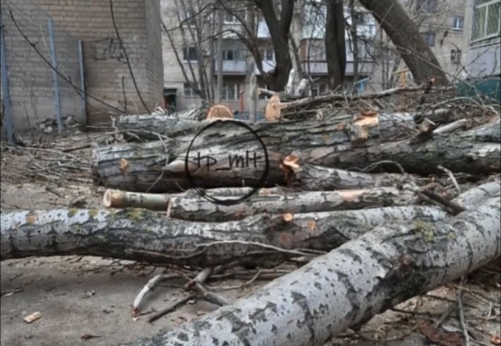 В Мелитополе можно "разжиться" бесплатными дровами (видео)