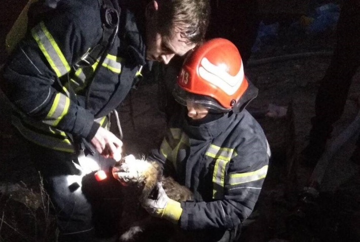 В Запорожской области спасатели во время тушения пожара вынесли щенка (фото)