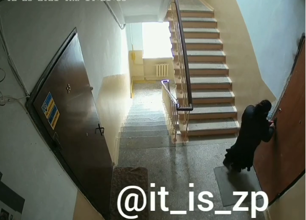 В Запорожье на видеокамеру в подъезде попала домушница (фото)