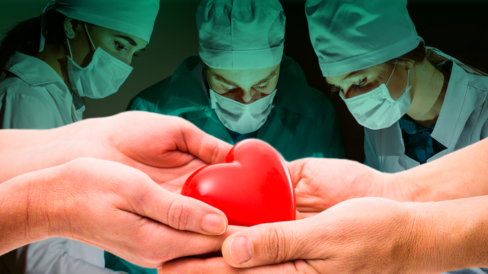 В Запорожской областной больнице удачно провели три трансплантации органов