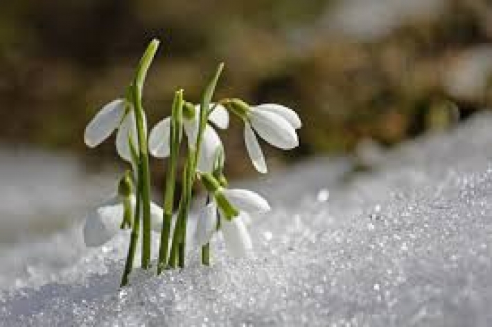 Весна отменяется, идет похолодание: синоптик уточнил прогноз погоды в Украине на начало марта