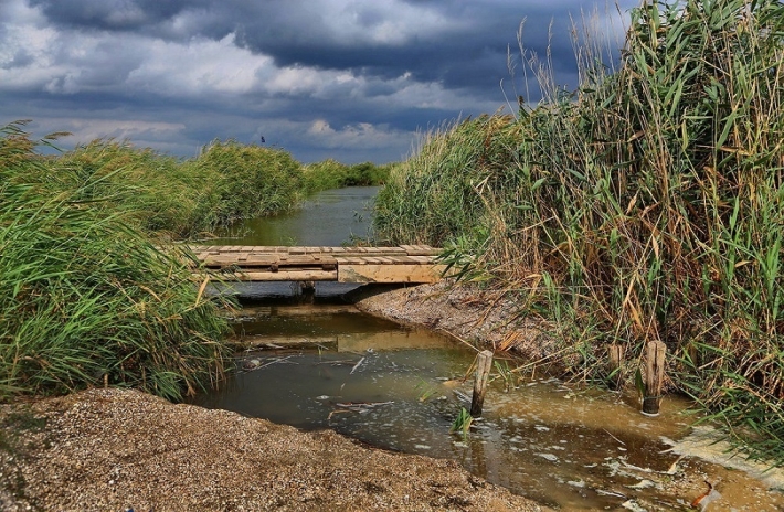 Глобальное потепление и деятельность человека ведут к уничтожению рек Приазовья – ученый ТГАТУ