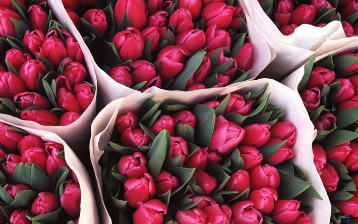 Где в Мелитополе цветочные рынки к 8 Марта организуют (адреса)