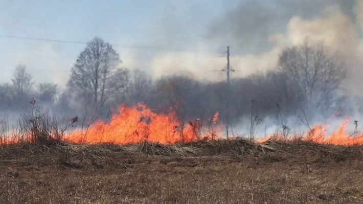 За сутки в Запорожской области потушили четыре пожара на открытых территориях