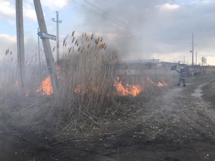 В Запорожской области возле баз отдыха тушили масштабный пожар (фото)