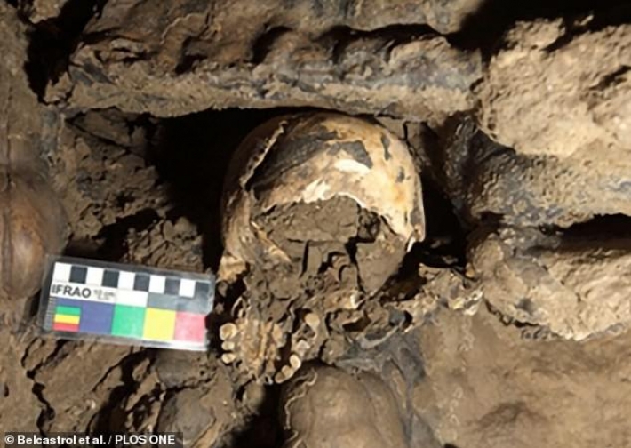 В Италии обнаружили череп женщины, жившей 5,4 тыс. лет назад, и узнали жуткую тайну: фото