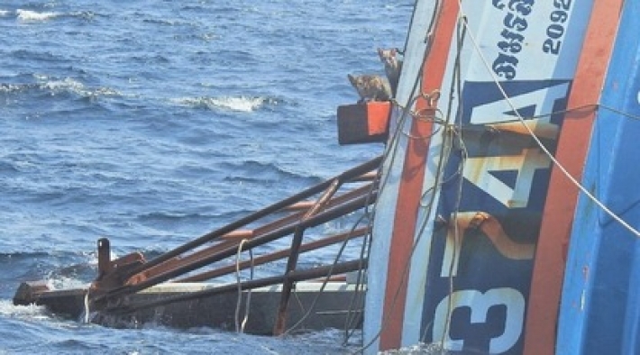 Больше чем фото: моряки спасли четырех рыжих кошек с горящего корабля (фото)
