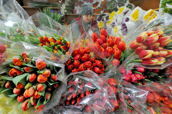 В мэрии Мелитополя рассказали, где цветы к 8 Марта продавать будут и, куда обращаться продавцам