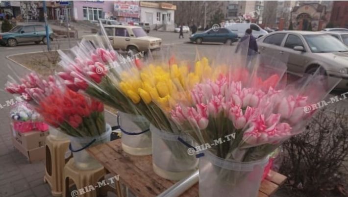 Цветок "счастья" и сладкие букеты - что почем на цветочных рынках в Мелитополе накануне 8 Марта (фото, видео)