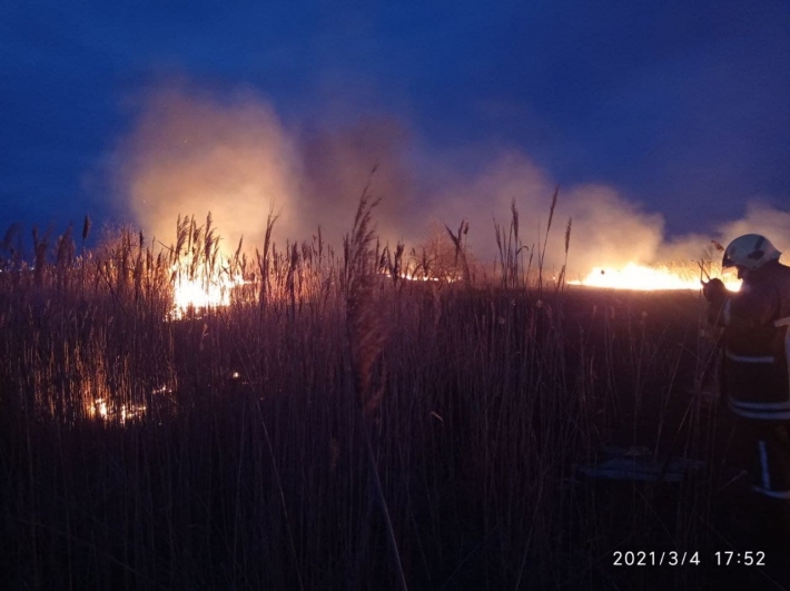 83 спасателя тушили пожары в полях Мелитопольского района и области (фото)