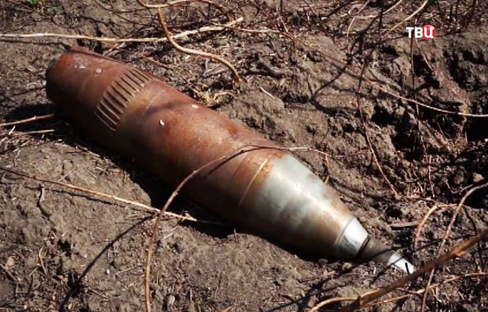 В Запорожской области обнаружили схрон с снарядами