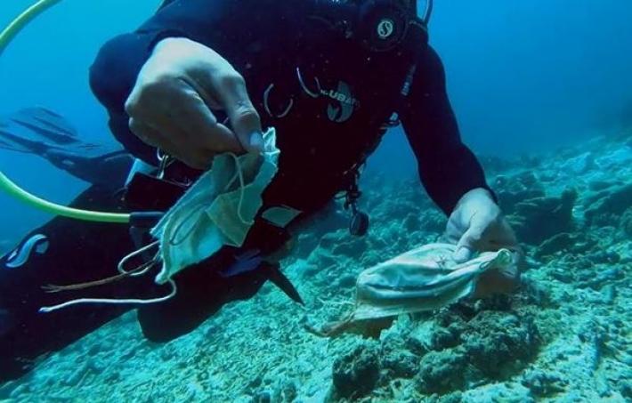 Рифы на Филиппинах загрязнены масками (видео)