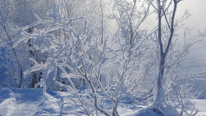 ​Украину накроют морозы до минус 14, пойдет снег: синоптики дали прогноз до конца недели