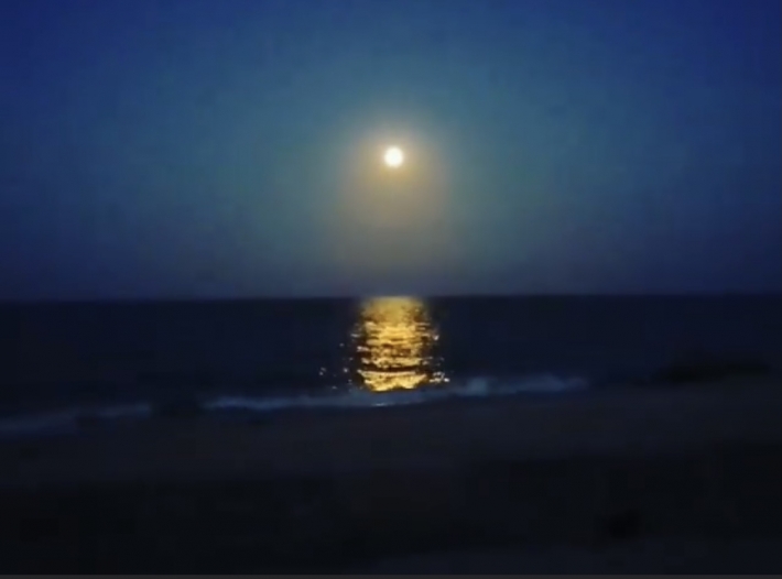 Морским пейзажем Кирилловки при свете луны делятся в сети (видео)