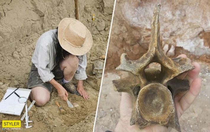 Под Одессой нашли останки доисторического носорога: в сети разгорелись баталии (фото)