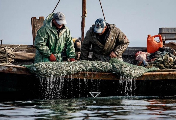 В этом году рыбакам будут выдавать спецразрешения на лов рыбы в Азовском море (фото)