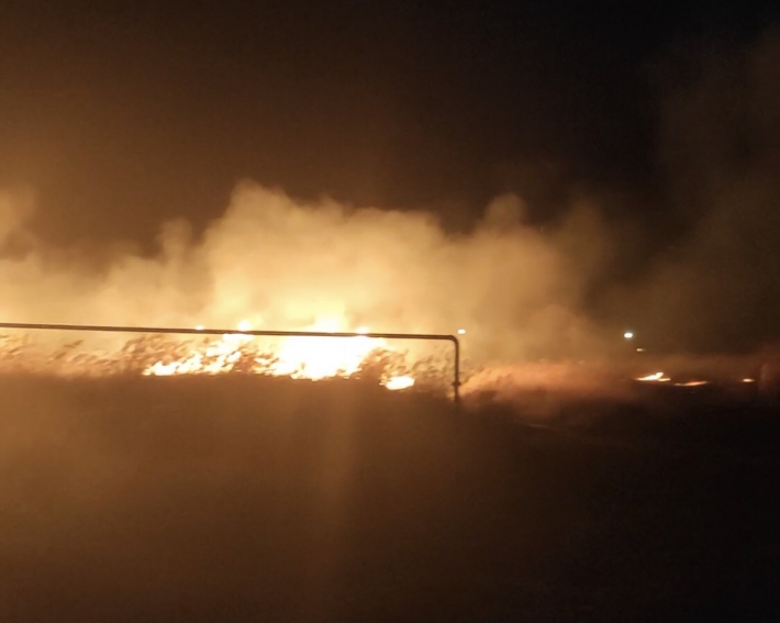 В Мелитополе и области за сутки 14 раз тушили пожары