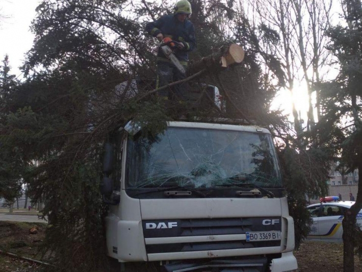 В Запорожье из-за приступа эпилепсии водитель грузовика снес дерево и вылетел на рельсы (фото)