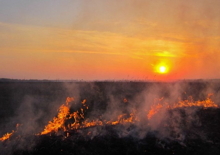 За сутки спасатели потушили 23 пожара в поле на территории Запорожской области